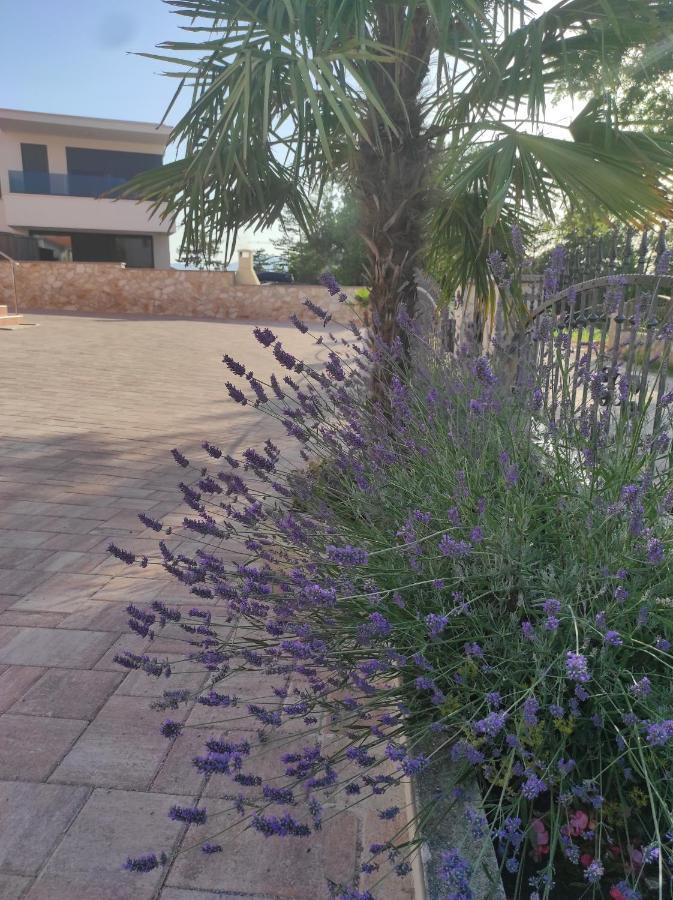 מאלינסקה Apartments Mihael מראה חיצוני תמונה